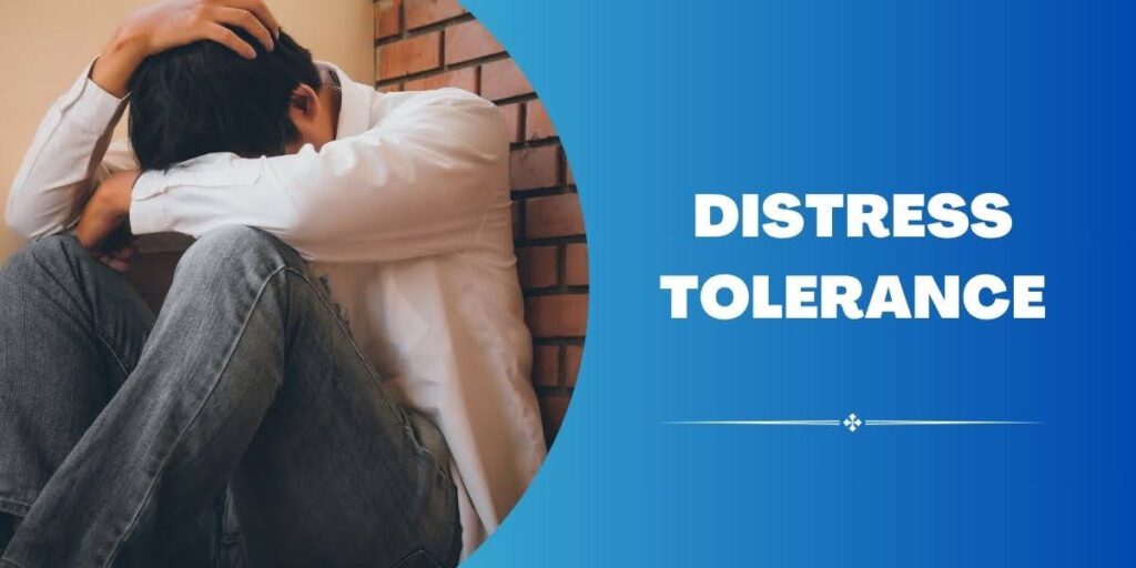 Learn how to understand and manage emotions with the 90 minute Distress Tolerance course